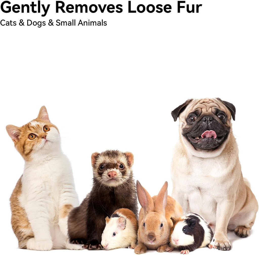 Cat Brush for Shedding, Cat Brushes for Indoor Cats, Cat Brush for Long or Short Haired Cats, Cat Grooming Brush Cat Comb for Kitten Rabbit Massage Removes Loose Fur