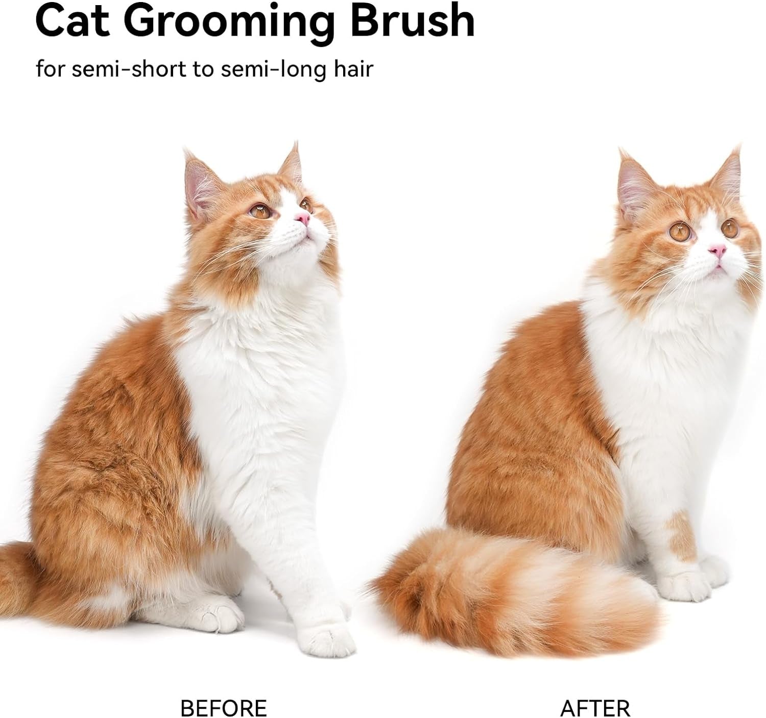 Cat Brush for Shedding, Cat Brushes for Indoor Cats, Cat Brush for Long or Short Haired Cats, Cat Grooming Brush Cat Comb for Kitten Rabbit Massage Removes Loose Fur